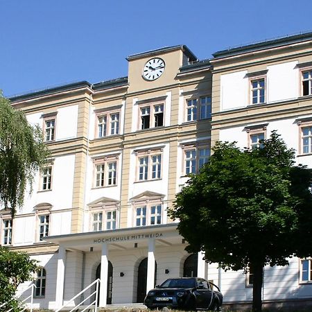 Apartment Tenx Mittweida Eksteriør billede